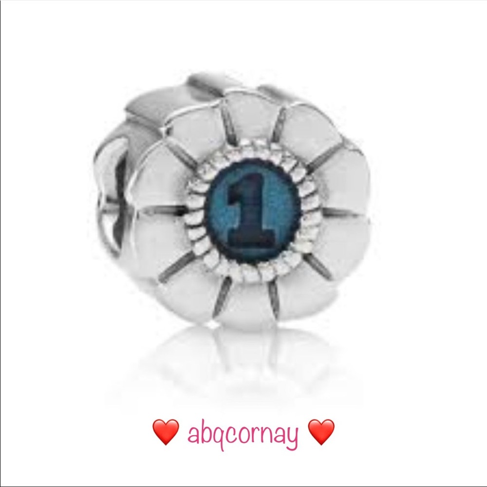 EUC Pandora 790519EN08 Oxidized Silver & Enamel 1st Prize Ribbon Rosette Charm